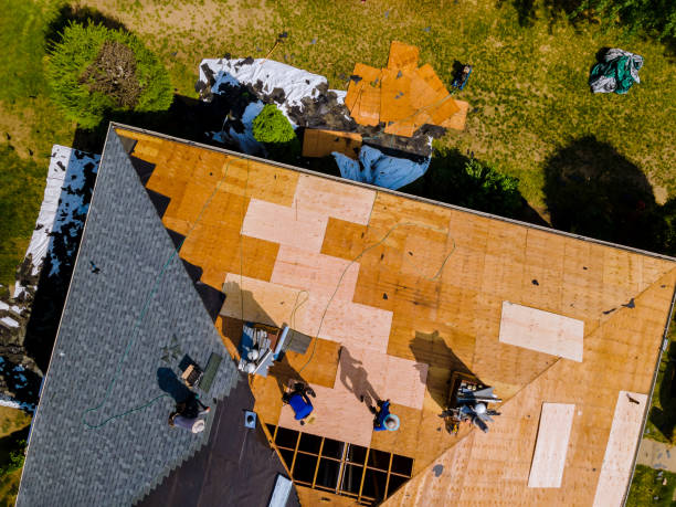 Best Storm Damage Roof Repair  in Joliet, IL